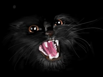 Злой черный кот