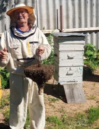 Как мы стали пчеловодами
